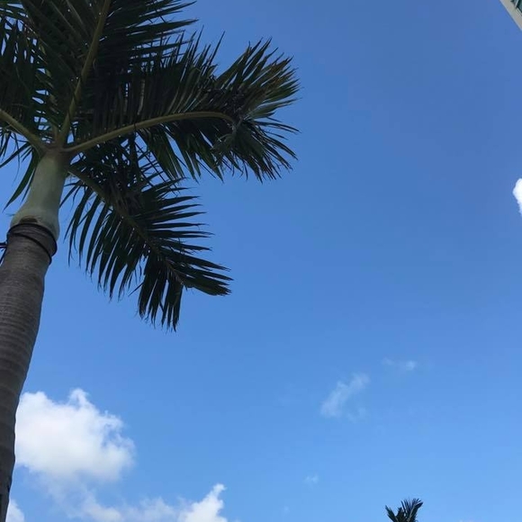 bwright2586